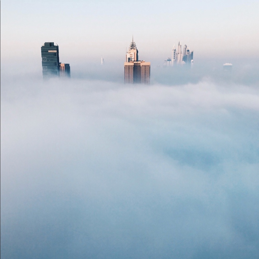 Meet your Posher, Caro